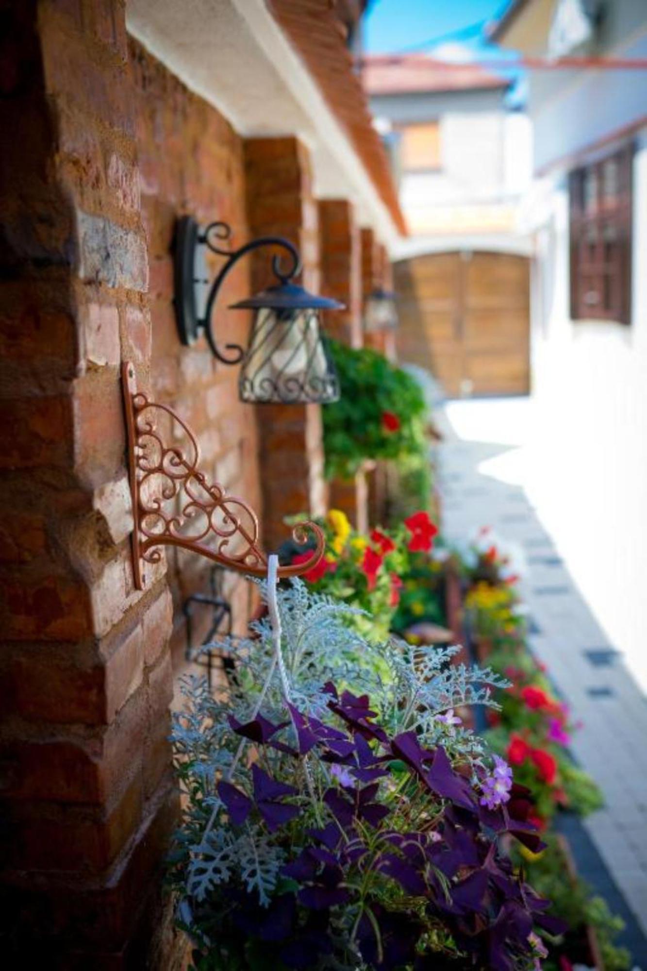 Cochet House Sibiu Aparthotel Kültér fotó